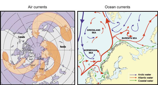Figure 4.2 Air and ocean currents transport ecological toxins towards
 the Arctic