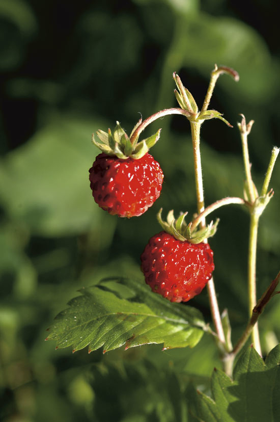 Figure 7.1 A clean environment enhances wealth creation