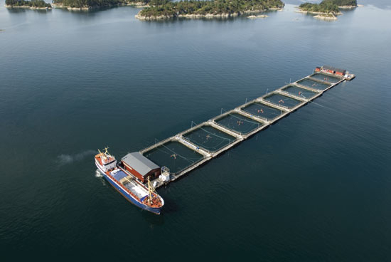 Figure 7.8 Salmon and trout farm in Austevoll