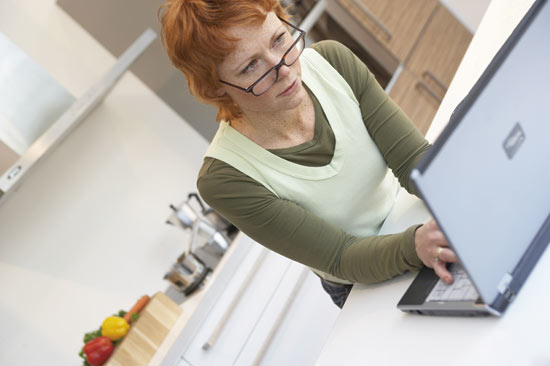 Figure 9.10 The Product Information Bank is intended to make health and
 environmental information on chemicals more easily accessible