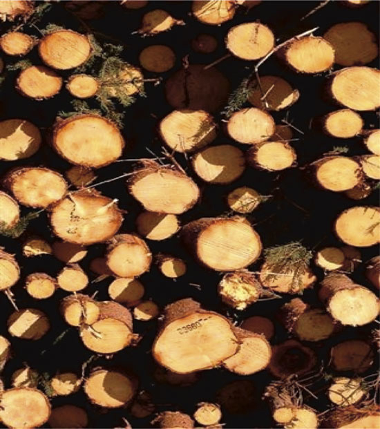 Figure 9.7 Fuelwood use is a major source of PAH emissions