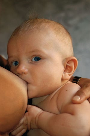 Figur 2.4 Barn utsettes for miljøgifter via morsmelk