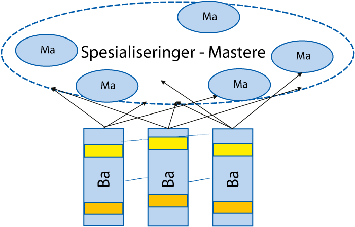 Figur 9.1 Brede grunnutdanninger og spesialisering på mastergradsnivå