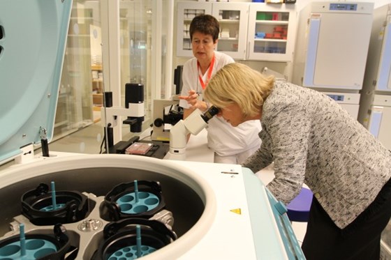 Næringsminister Monica Mæland ser inn i mikroskop på en lab på Oslo Cancer Cluster.