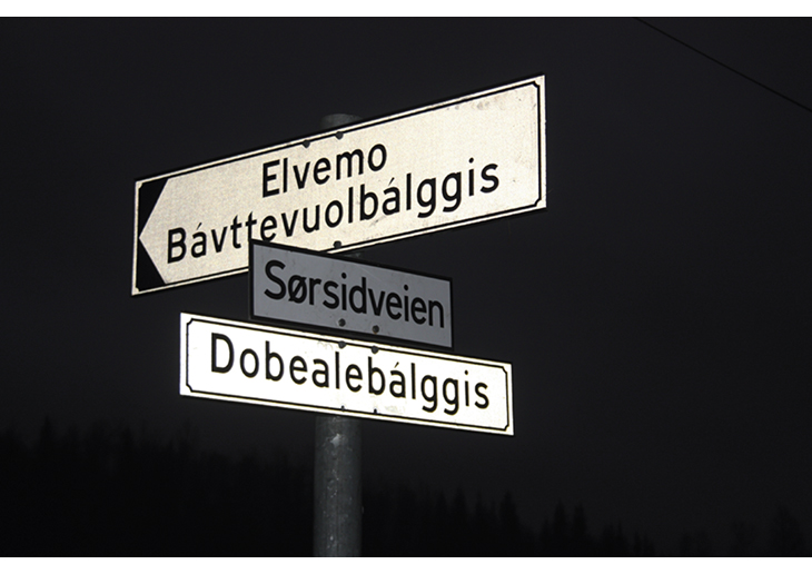 Figur 20.6 Tospråklig veinavn i Narvik kommune
