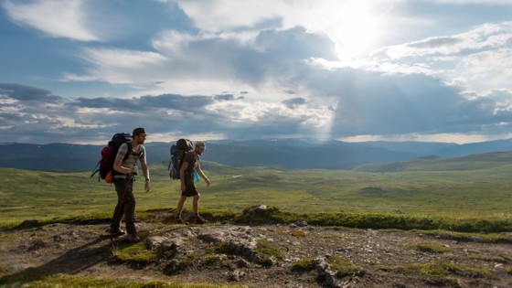 Pilegrimsvandring over Dovrefjell