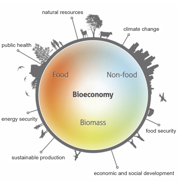 Figur 11.3 Viktige elementer i bioøkonomien.