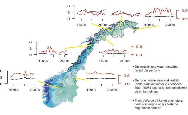 Figur 7.3 Slakteuttak og reintetthet i utvalgte distrikt i Finnmark, Troms, Nordland og Sør-Trøndelag, og ett tamreinlag i perioden 1981–2008, og mengde vinternedbør i de ulike områdene