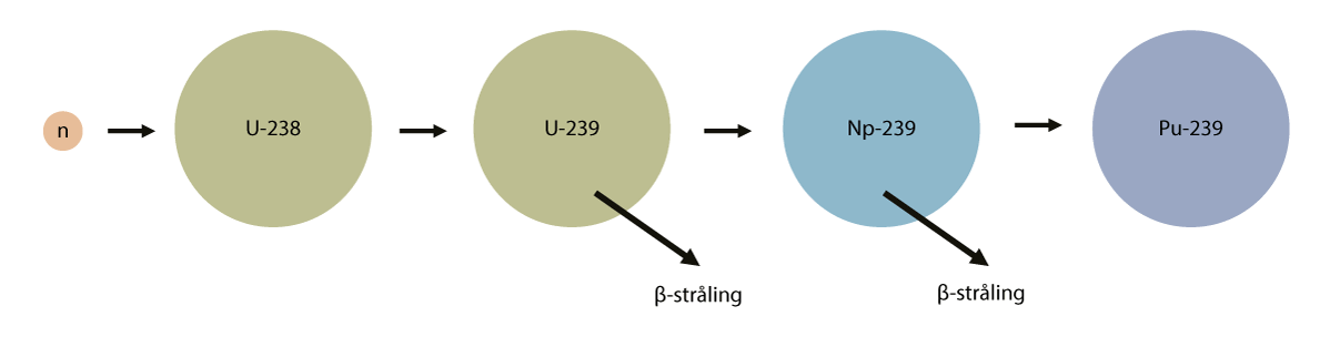 Figur 4.2 Produksjon av plutonium-239 fra uran-238