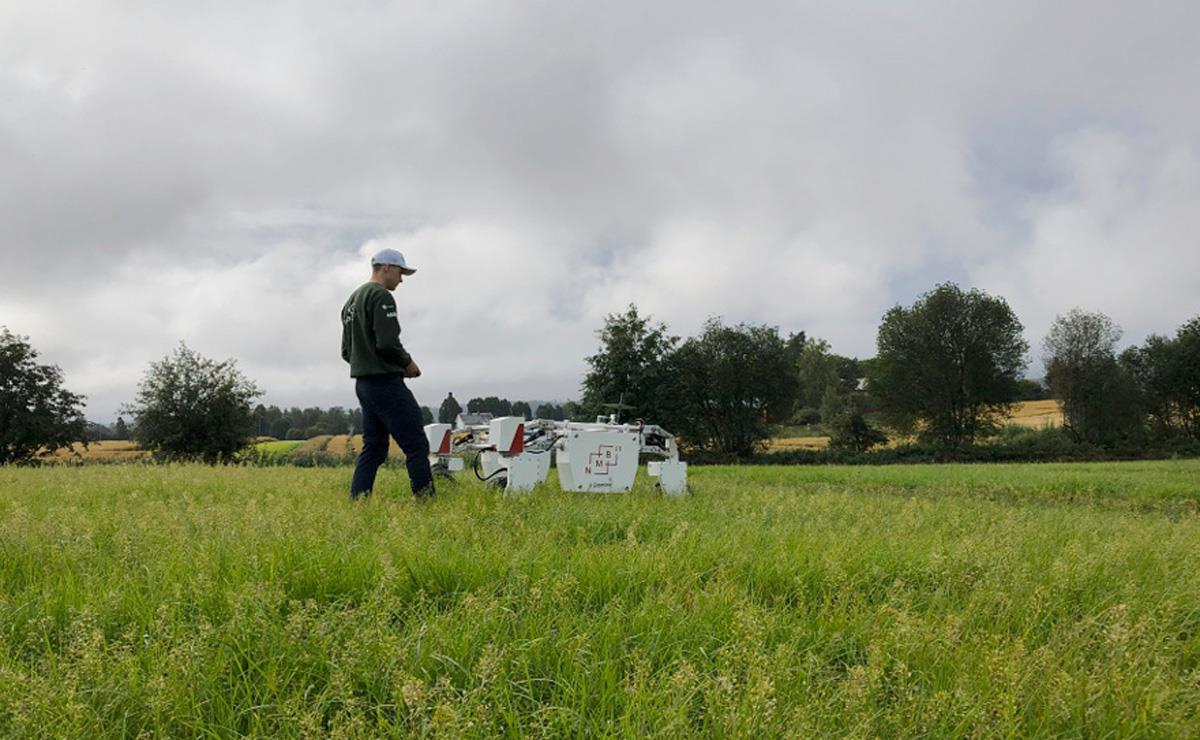 Et bilde som inneholder utendørs, sky, himmel, plante

KI-generert innhold kan være feil.
