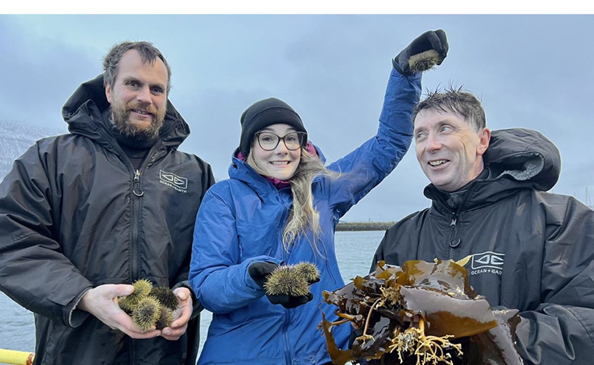 Et bilde som inneholder person, jakke, klær, himmel

KI-generert innhold kan være feil.