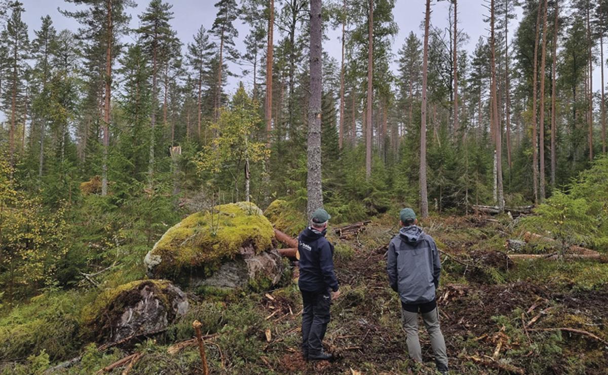 Et bilde som inneholder utendørs, himmel, tre, person

KI-generert innhold kan være feil.