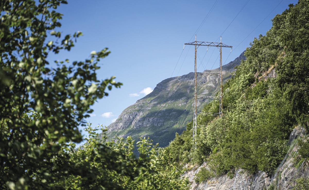 Et bilde som inneholder utendørs, tre, fjell, himmel

KI-generert innhold kan være feil.