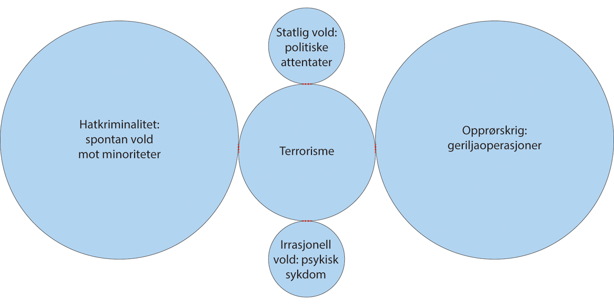 Figur 4.2 Hva er terror