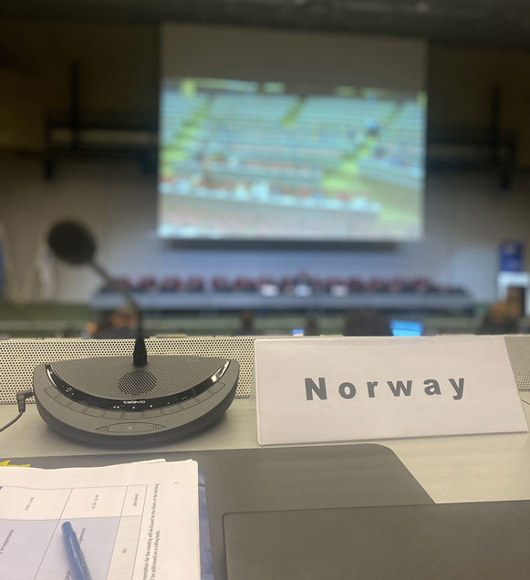 Figur 9.1 Arbeidsgruppemøte i Arms Trade Treaty (ATT) 2024.