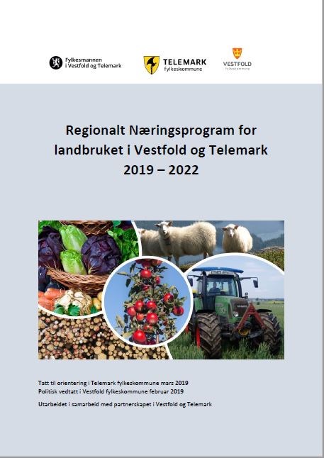 Nytt Regionalt næringsprogram for Vestfold og Telemark 2019-2022.