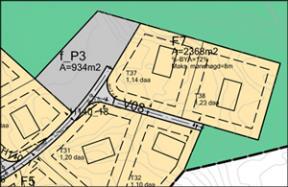 Plankartet viser felles veier frem til den enkelte tomt, på den enkelte tomt og areal for fellesparkering.