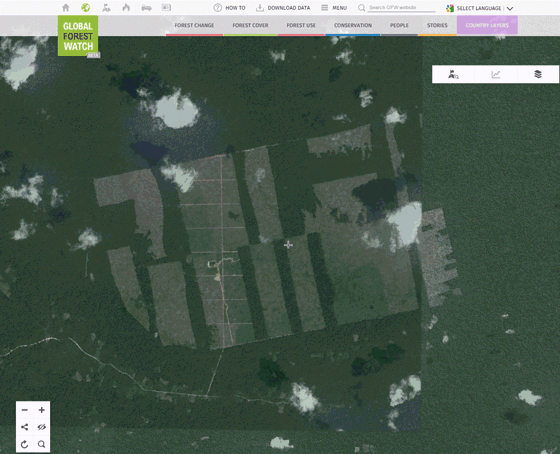 Satellittbilde regnskog