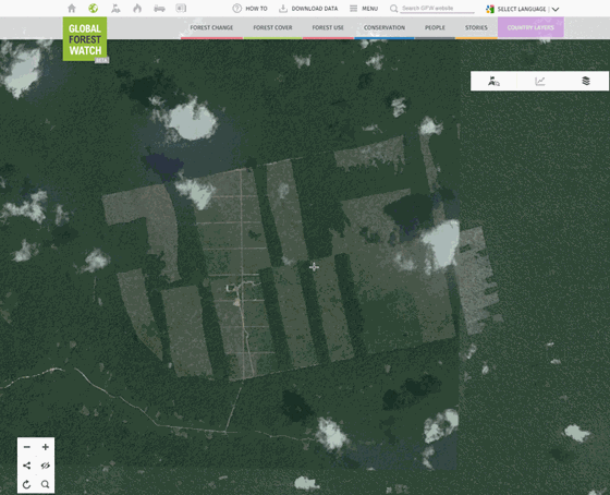 Satellittbilde regnskog