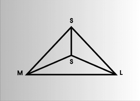 Figur 10.4 The Pedagogical Diamond