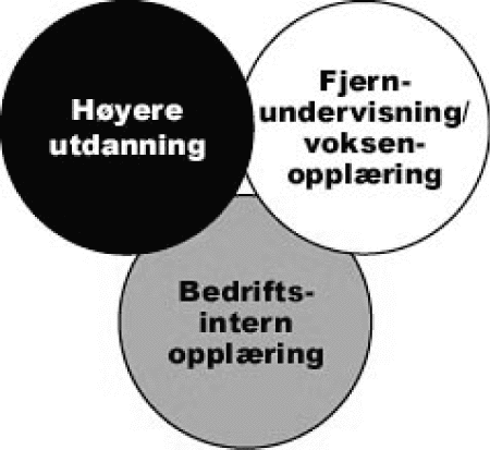 Figur 11.1 Fra tre sektorer til ett marked?