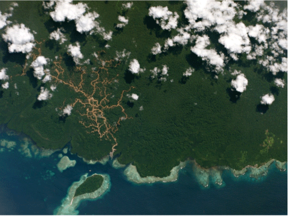 Figur 8.3 Skogsveier fra en nyanlagt havn på den indonesiske øya Pulau Pini er enkelt synlige på dette høyoppløselige satellittbildet fra 30. juni 2015. Slike veier muliggjør hogst og etterfølges ofte av opprettelsen av palmeoljeplantasjer.

