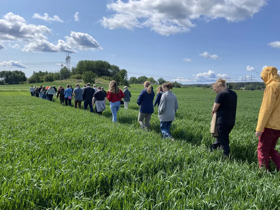 Markvandring under miljødagene i Østfold i 2025