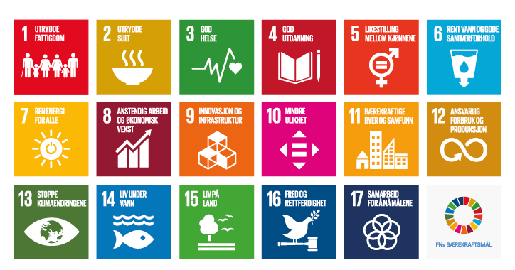Figur 11.1 FNs bærekraftsmål
