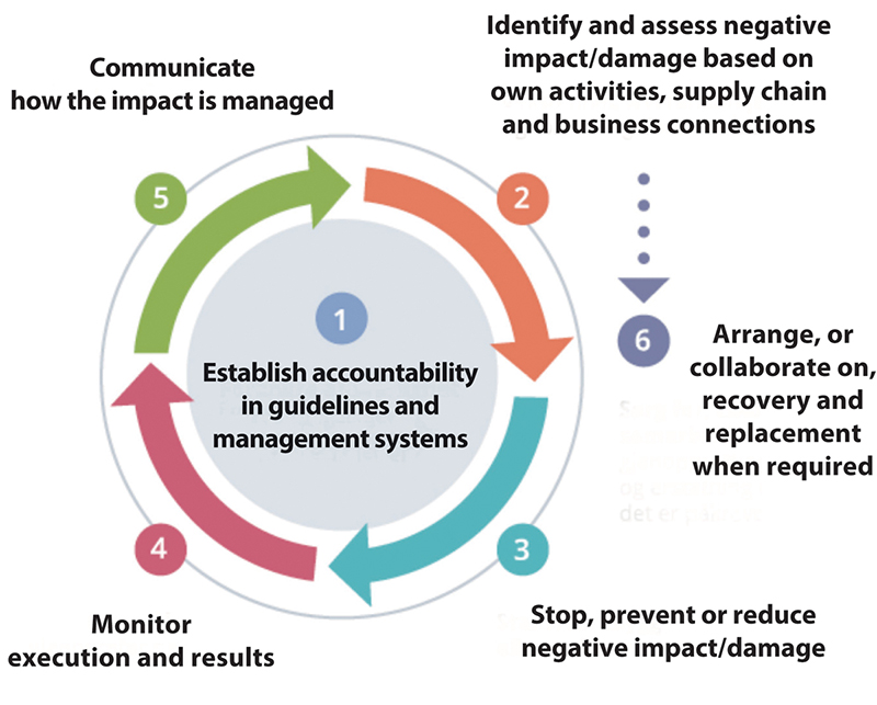 Figure 11.5 OECD’s Due Diligence Guidance for Responsible Business Conduct.
