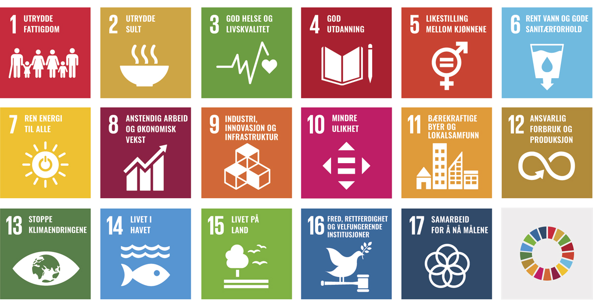 Figur 11.2 FNs bærekraftsmål.
