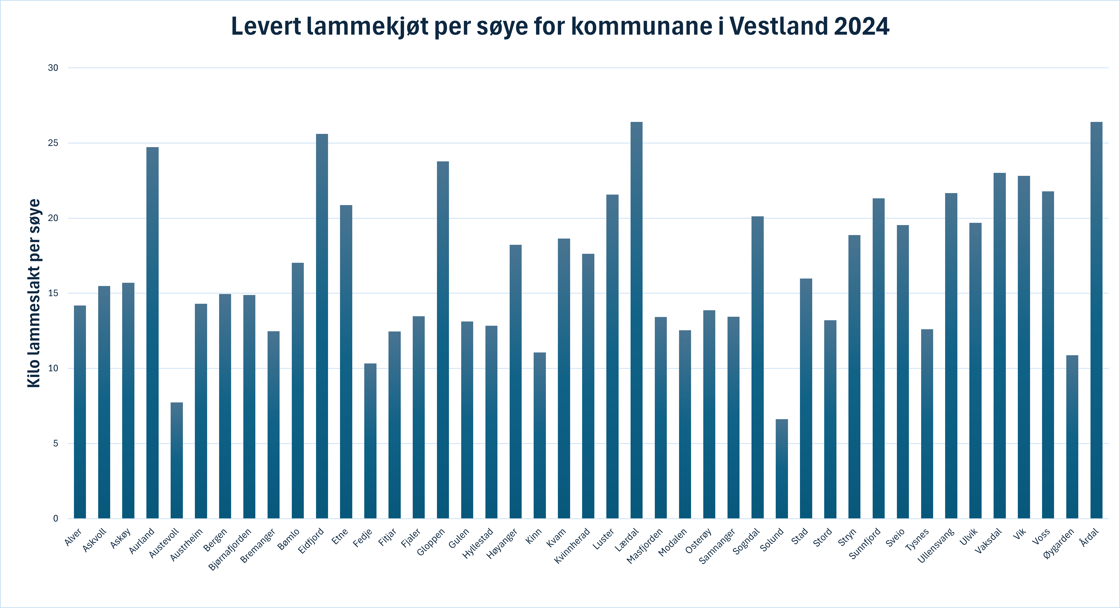 Produsert lammekjøt per søye i 2024