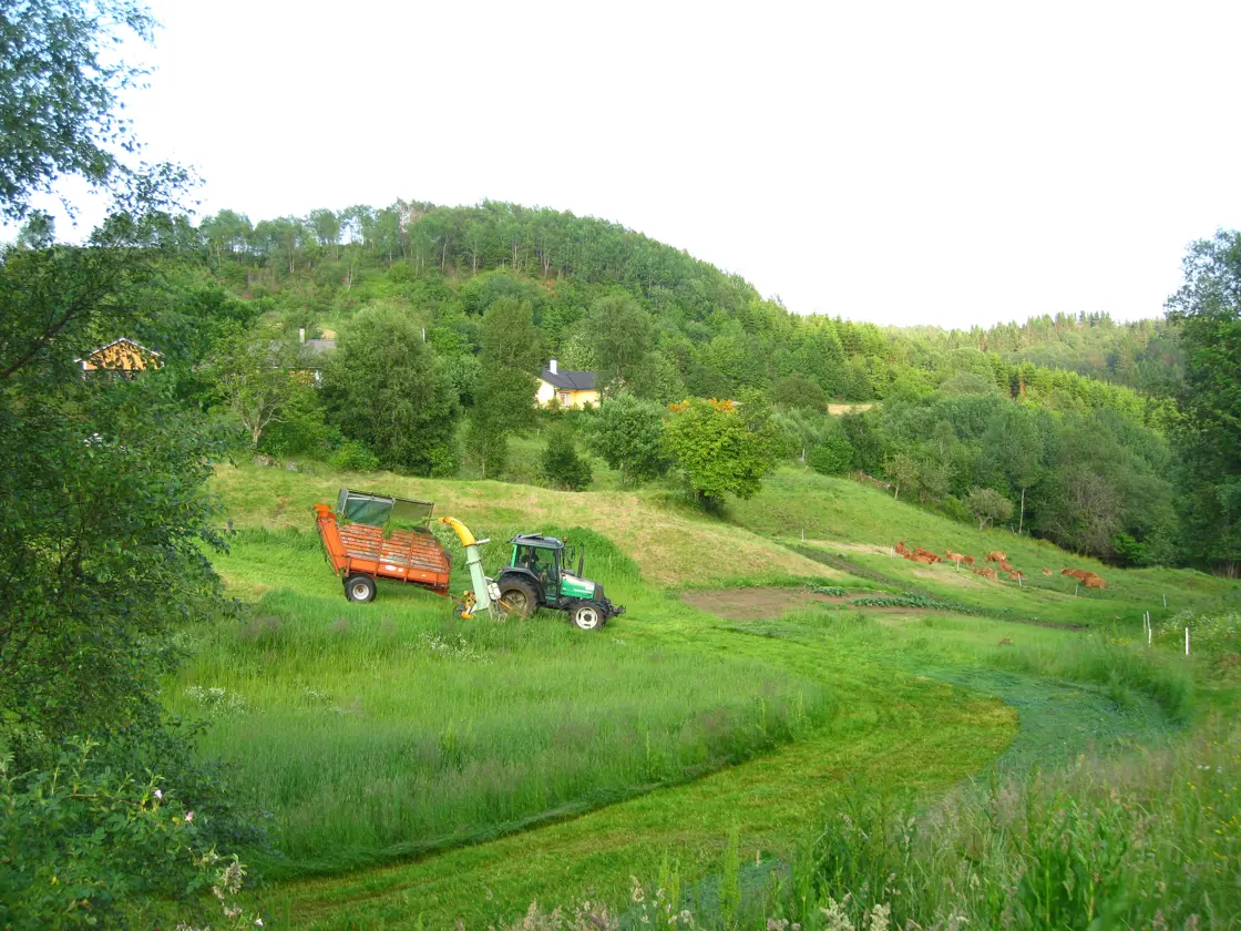Slått i småskala landskap.