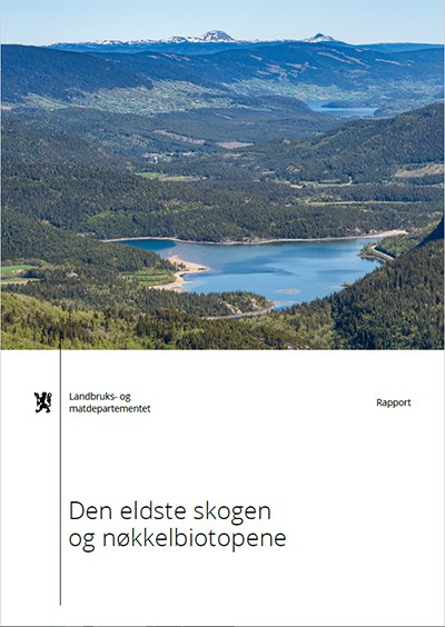 Forside Rapport - Den eldste skogen og nøkkelbiotopene