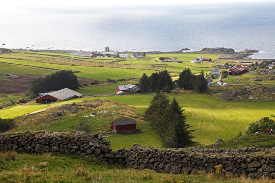 En vesentlig del av verdi-skapingen i Vest-Agder er fra grovforbasert melk- og storfeproduksjon. 