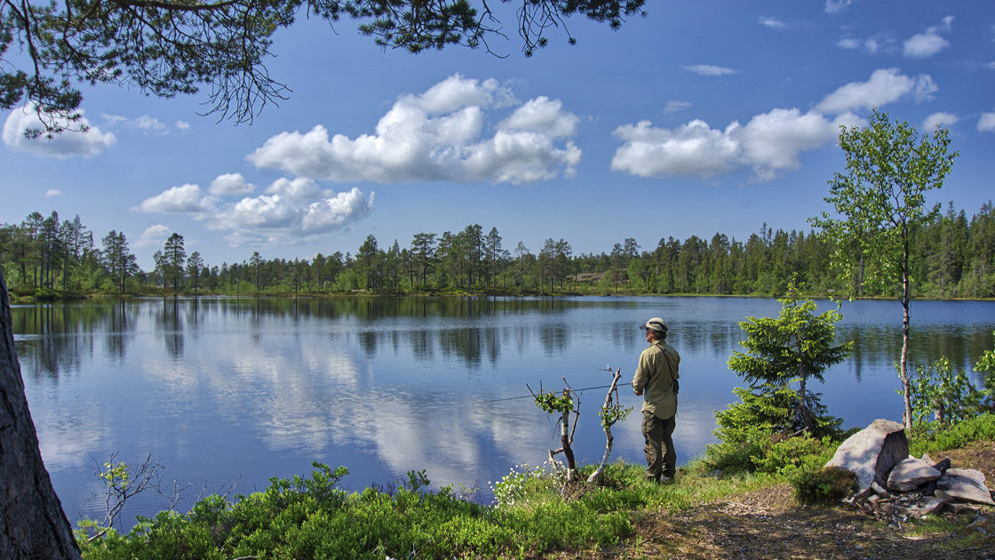 Fiske i Søndre Pene tjerna