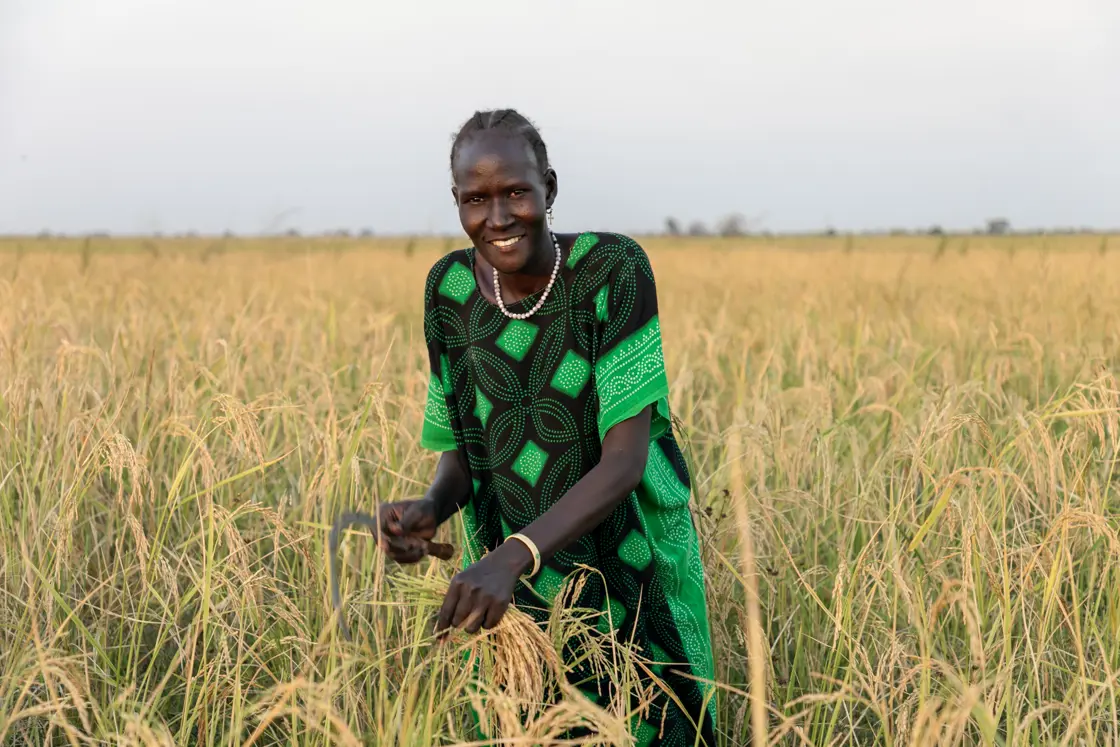 Bilde av dame i åker