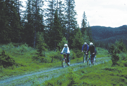 Figur 4.1 Oppslutningen om sykkelturer i naturområder er stadig
 stigende