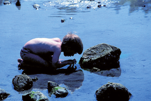 Figur 7.14 Forurensede sedimenter reduserer miljøkvaliteten langs
 kysten.