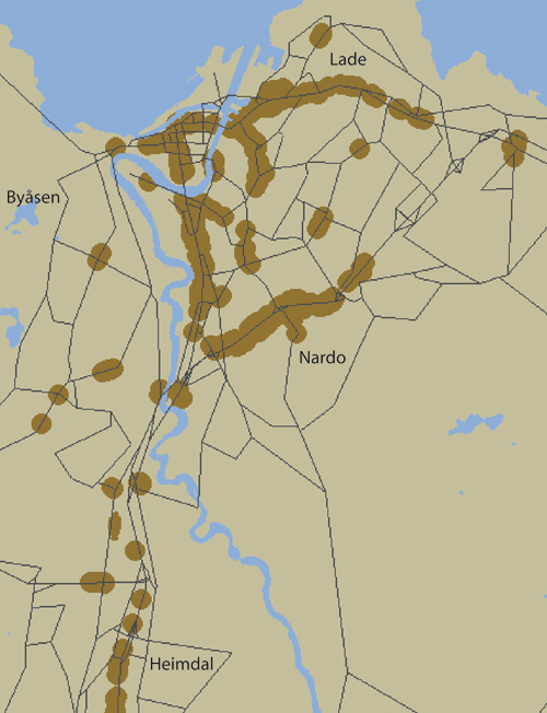 Figur 9.13 Brune områder viser hvor det er beregnet overskridelser
 av nasjonalt mål for svevestøv i 2003 i Trondheim.