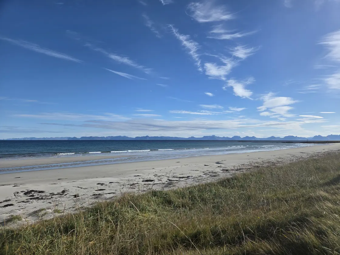 Ei sandstrand ved Andfjorden. I forgrunnen er høgt grønt gras. I bakgrunnen ser ein over til fjell på Senja.