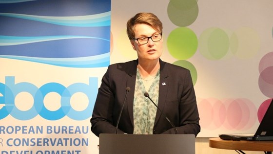 Klima- og miljøvernminister Tine Sundtoft forrtalte om Norges elbil-erfaringer. Foto: Julie Johnsen, EU-delegasjonen