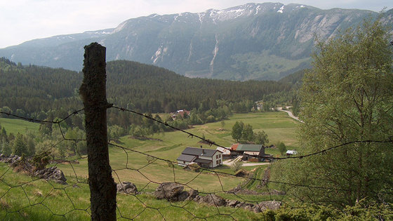 Det utvalgte kulturlandskapet Rygnestad og Flatemark er et klart geografisk avgrenset landskapsrom med store biologiske og kulturhistoriske verdier. Beboerne i området er interessert i å ta vare på kulturlandskapet, og tiltak som Slåttedagene er satt i gang for å holde slåtteengene åpne. 