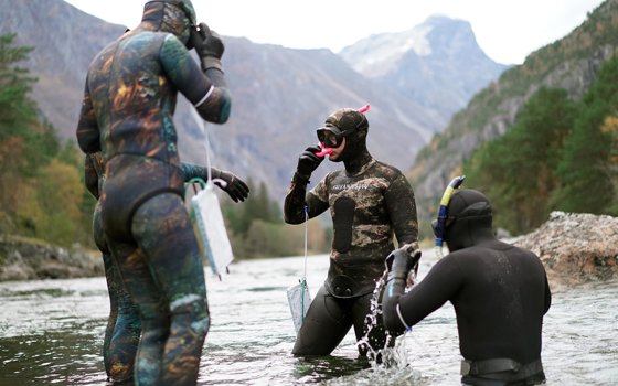 Gytefisktelling i Rauma høsten 2021