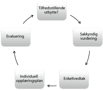 Figur 4.2 System for vurdering og oppfølging av elever med spesialundervisning
