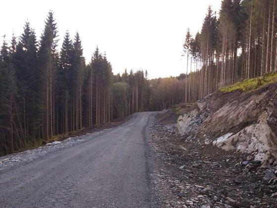 Bygging av skogsveg i Vindafjord kommune. 