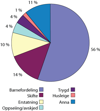 Figur 2.1 Statens kostnader til fritt rettsråd og fri sakførsel i behovsprøvde saker i 2007, innbyrdes fordeling på sakstypar