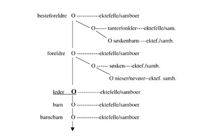 Figur 11.1 § 4–9 første ledd, bokstav
a-e