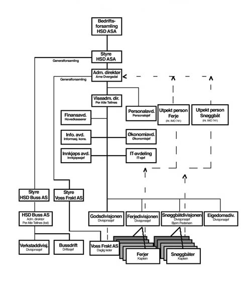 Figur 8.1 Organisasjonskart HSD-konsernet fra 1. januar 1999