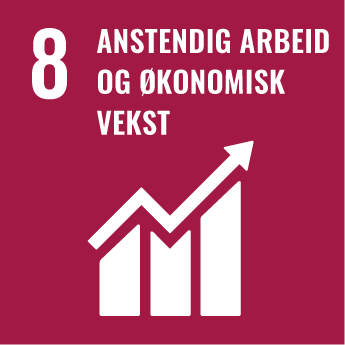Figur 4.9 Bærekraftsmål 8: Å fremme varig, inkluderende og bærekraftig økonomisk vekst, full sysselsetting og anstendig arbeid for alle
