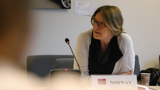 Ambassadør Sletnes under møtet i EØS-komiteen 31. mai 2018